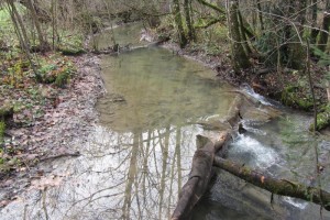 Bad Ischl: Junihochwasser bedroht Kaltenbachteich