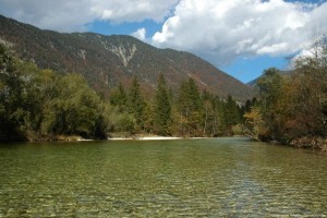 Exkursion zum Laichzug der Reinanken des Hallstättersees in die Koppentraun