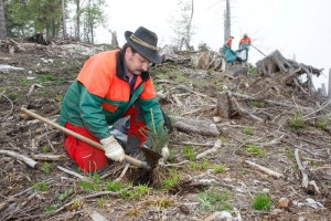 Bundesforste starten Schutzwald-Projekt im Salzkammergut