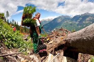 Bundesforste starten Schutzwald-Projekt im Salzkammergut