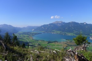 Bundesforste starten Schutzwald-Projekt im Salzkammergut