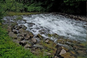Ischler Ache: Sanierungsmaßnahmen lassen Fische wieder wandern und schaffen mehr Sicherheit bei Hochwasser