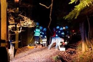Tödlicher Forstunfall in Pinsdorf-Wiesen