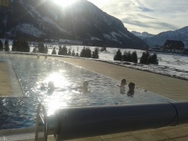 Narzissen Bad Aussee