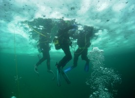 Eistauchen und Eisfischen im Salzkammergut - eine Märchenwelt unter dem Eis