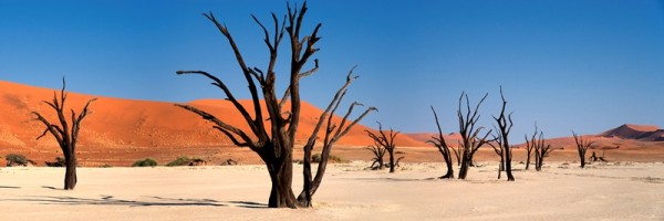Deathvlei in der Namibwüste