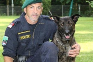 Drogen in Vöcklabruck gekauft - von Polizeidiensthund Hexe erschnüffelt