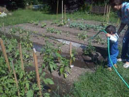 Nachbarschaftsgarten St. Georgen