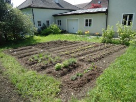 Nachbarschaftsgarten St. Georgen
