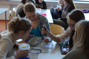 Allergieworkshop