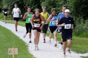 Vöckla Ager Ufer Lauf