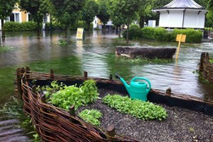 Urban Gardening am Gmundner Seeufer