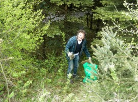 Flureinigung Seewalchen