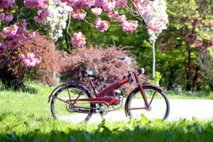 Saisoneröffnung im Oldtimermuseum Altmünster