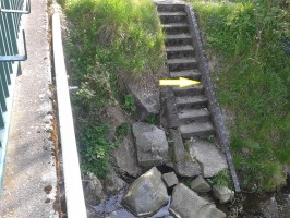 Wasserstand - Messlatten