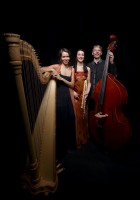 Konzert Ensemble Feuerholz 