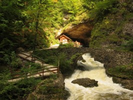 Koppenbrüllerhöhle
