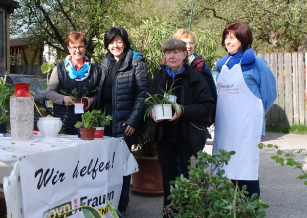 Pflanzenflohmarkt der OÖVP Frauen Ebensee