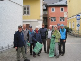 Reinigung Langbathsee