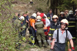 Schwerer Forstunfall im Weißenbachtal - 75-Jähriger verletzt