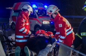 Rotes Kreuz Gmunden - 48.000 freiwillige Stunden im Dienste der Menschlichkeit