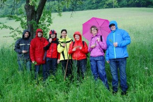 Sterngesunder Firmenaktionstag