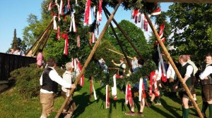 Maibaum Gmundner Turner