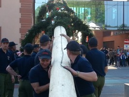 Maibaum Laakirchen