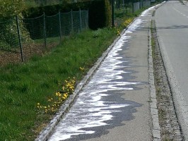 Unkrautbekämpfung in Vöcklabruck (1)