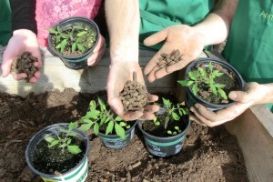 Woolets erobern das AgrarBildungsZentrum Salzkammergut