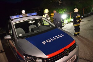 Pinsdorf: Pensionist stürzte von Leiter - tot