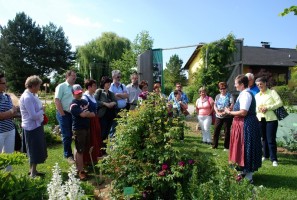 OÖVP Frauen Ebensee Gartenführung 2