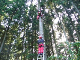 Kuriose Katzenrettung aus 20 Meter Höhe