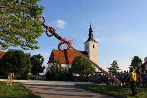 1000 Besucher bei den Maibaumfesten in Seewalchen