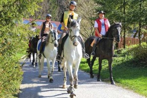 Traunreitervorstand sitzt fest im Sattel