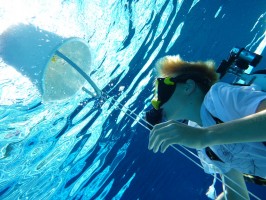 Schnuppertauchen Obertraun