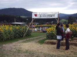 Sonnenblumenfest OhlsdorfSonnenblumenfest OhlsdorfSonnenblumenfest Ohlsdorf