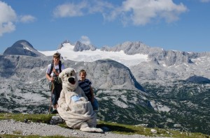 Eishöhlen-Bär am Dachstein Krippenstein