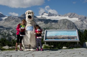 Eishöhlen-Bär am Dachstein Krippenstein