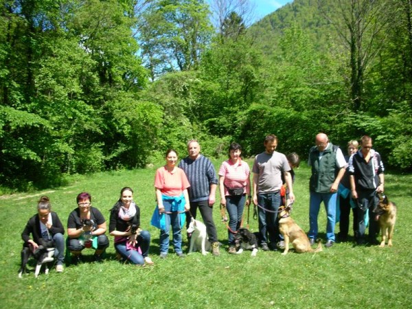 Hundeschule Bad Ischl