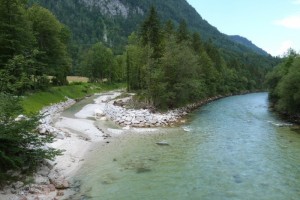 Nebenarm der Traun in Engleithen erneut ausgetrocknet