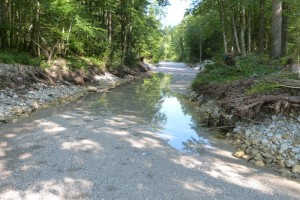 Nebenarm der Traun in Engleithen erneut ausgetrocknet