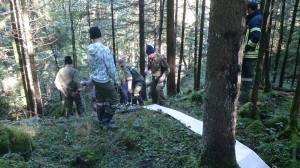 Hangrutschung in Grünau | Foto: Gemeinde Grünau