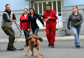 Vöcklabrucker Suchhunde zeigten Einsatzfreude und hohe Motivation bei Trainingswoche