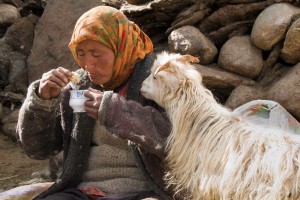 Ladakh-Titelfoto