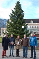 christbaum