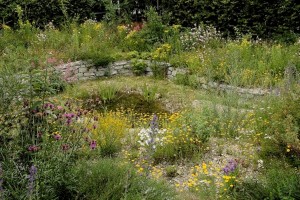 Teich mit Natursteinmauer und Trockenstandort