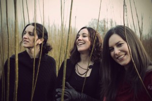 0_HenryGirls_byPaulaGillespie Kopie