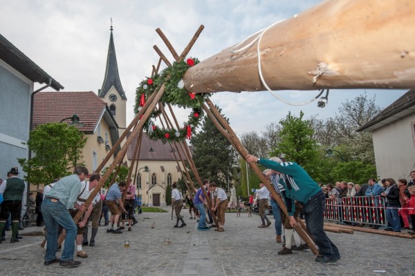 Maibaumaufstellen in Regau