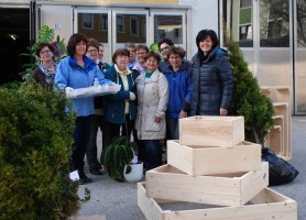 Pflanzenflohm. OÖVP Frauen 1